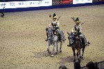 Quadrille - 00896